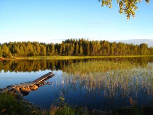 Naturen är gratis – använd den