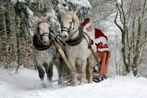 Och årets julklapp blir…