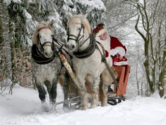 årets julklapp