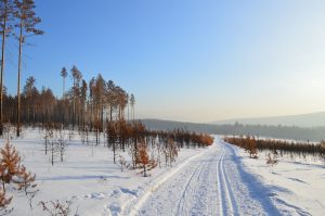 Förbättra din ekonomi 2019 – här är fem kanontips