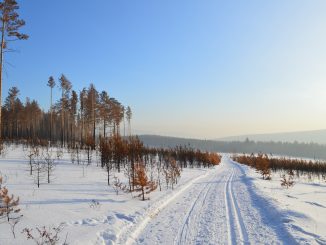 förbättra din ekonomi 2019