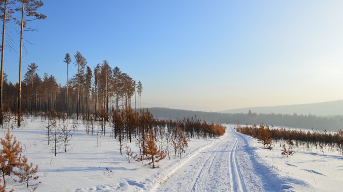 winter-1378557_1920 förbättra din ekonomi 2019